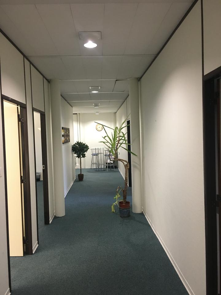 Bureau Eckbolsheim 229m² Location bureau Eckbolsheim Bas-Rhin OLBUR2110827 10